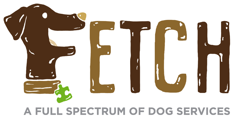 Fetch logo