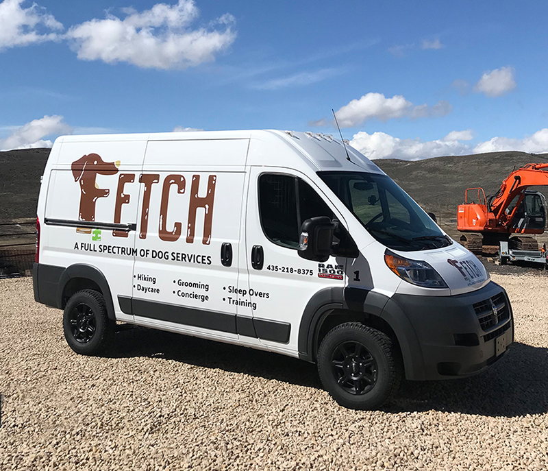 Fetch Fetch